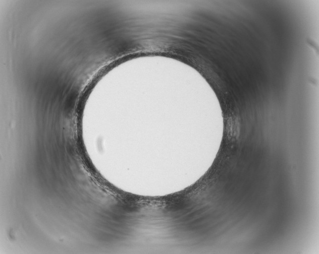 X0000103910676200810031213