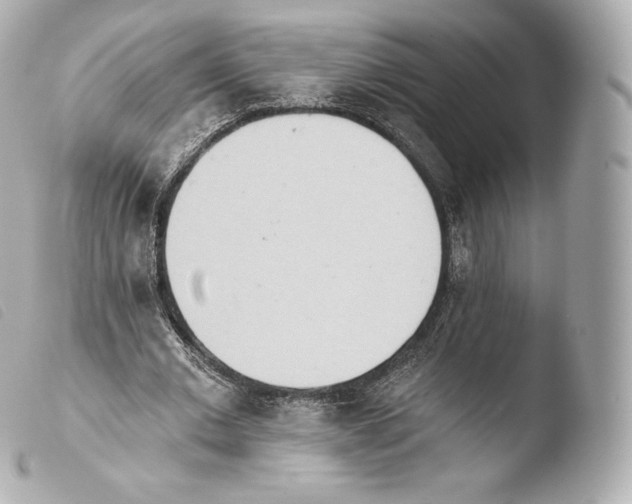 X0000103910677200810031213