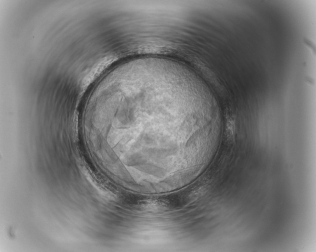 X0000103910678200810031213