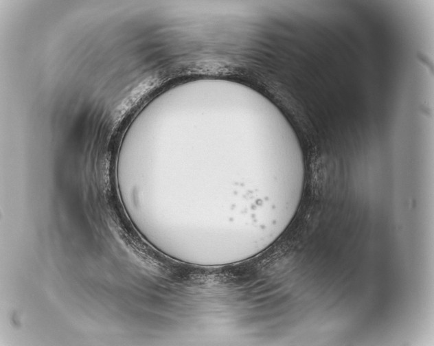X0000103910679200810031213
