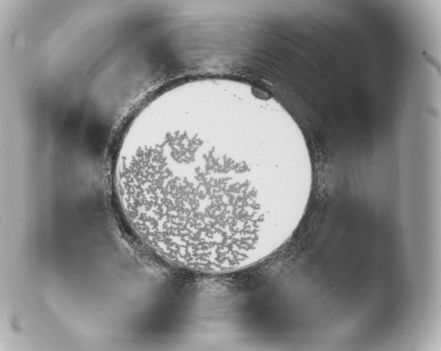 X0000103910680200810031213