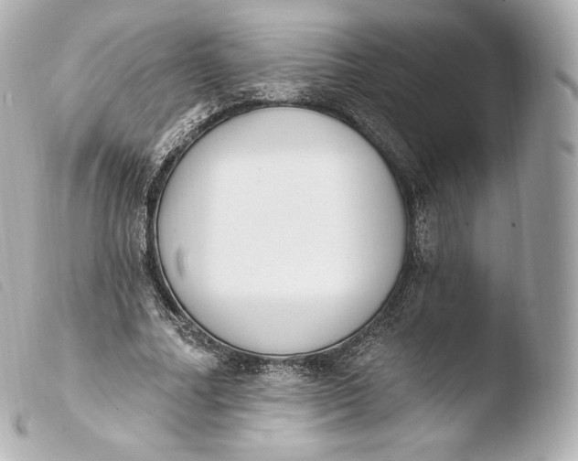 X0000103910682200810031213
