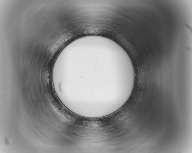 X0000103910683200810031213