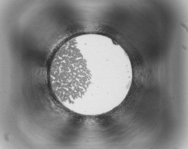X0000103910684200810031213