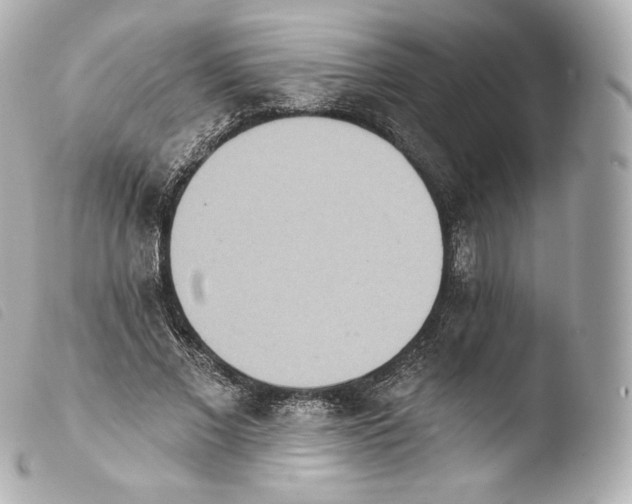 X0000103910685200810031213