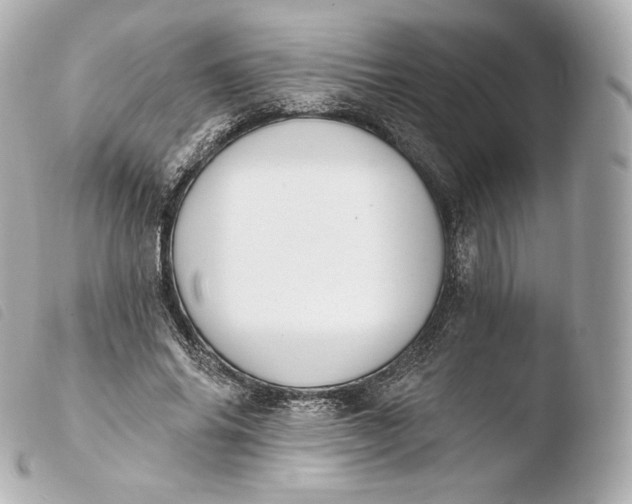 X0000103910686200810031213