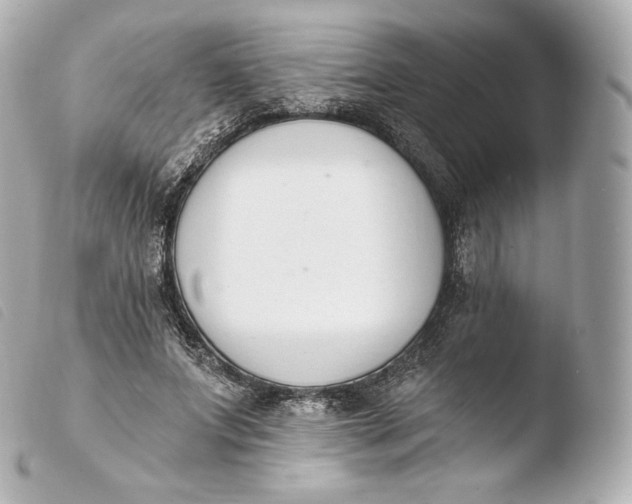 X0000103910687200810031213