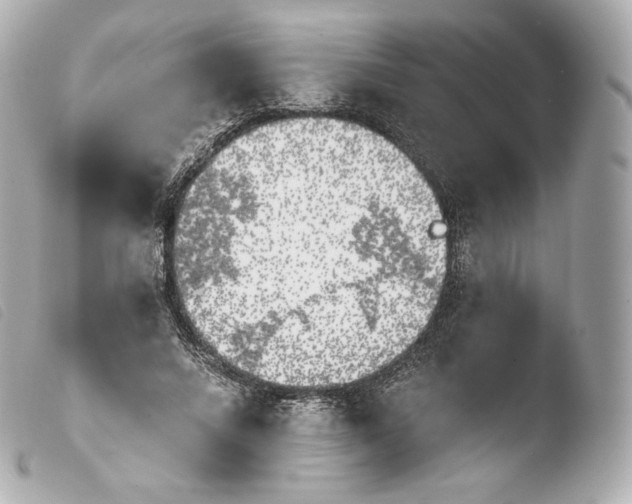 X0000103910688200810031213