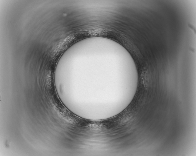 X0000103910690200810031213