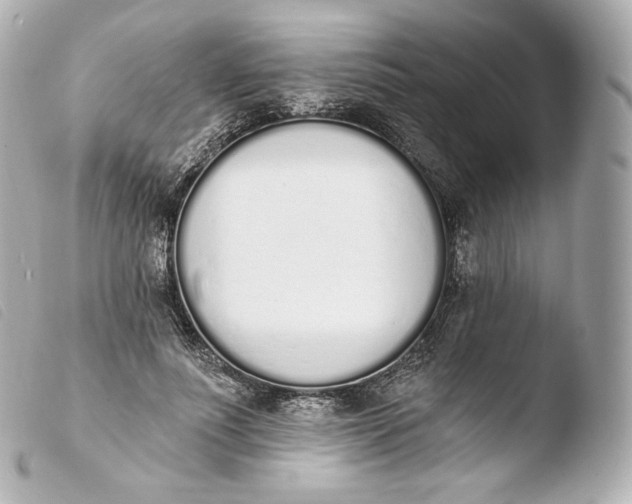 X0000103910691200810031213