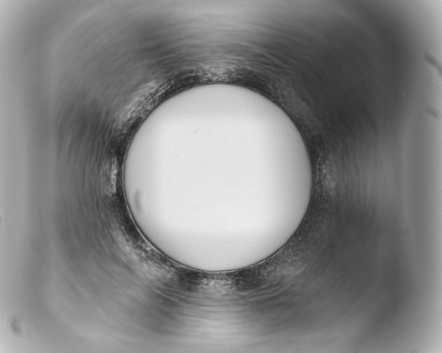 X0000103910694200810031213