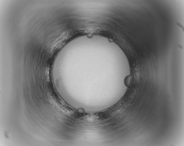 X0000103910696200810031213