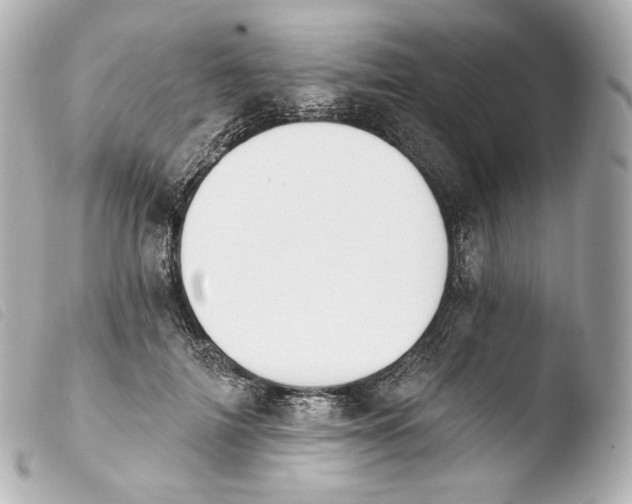 X0000103910698200810031213