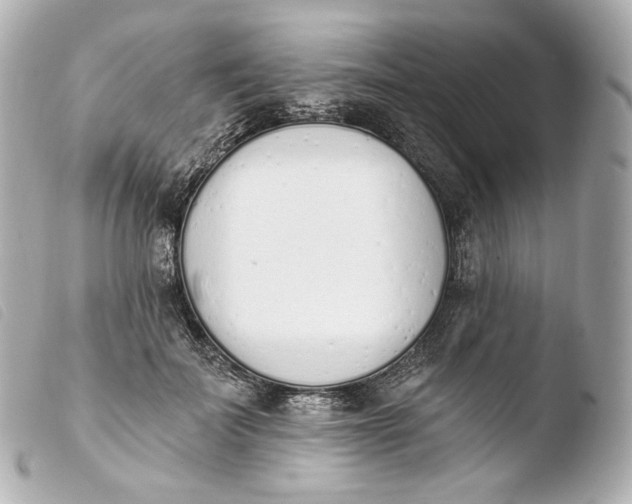 X0000103910699200810031213