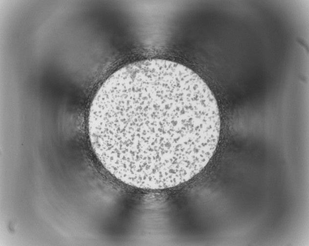 X0000103910700200810031213