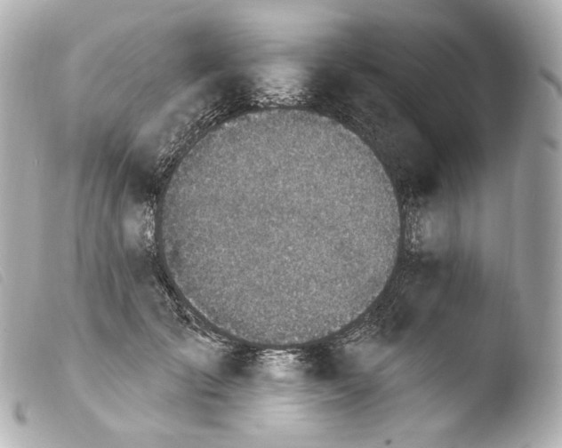 X0000103910701200810031213