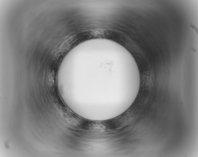 X0000103910702200810031213