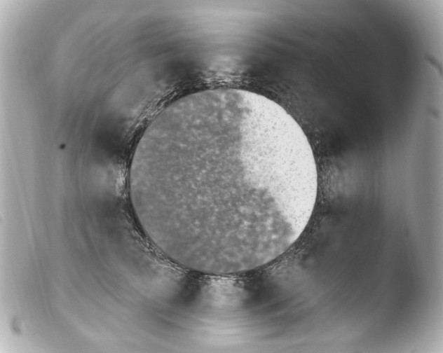 X0000103910709200810031213