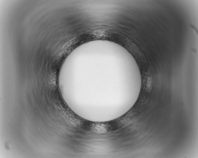 X0000103910710200810031213