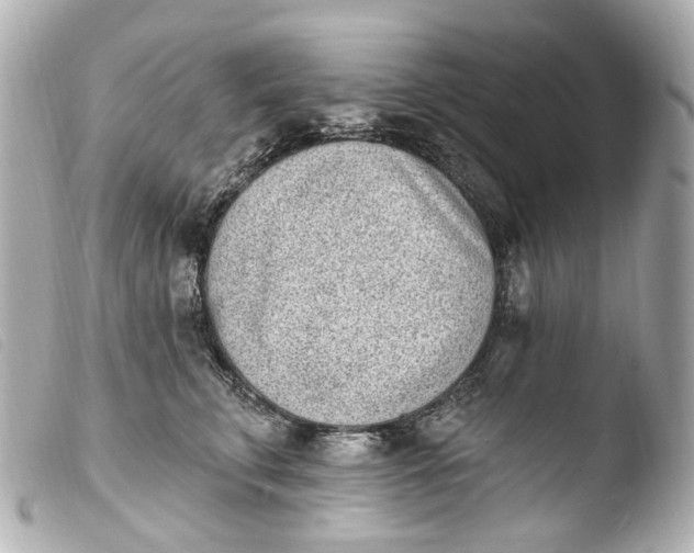 X0000103910711200810031213