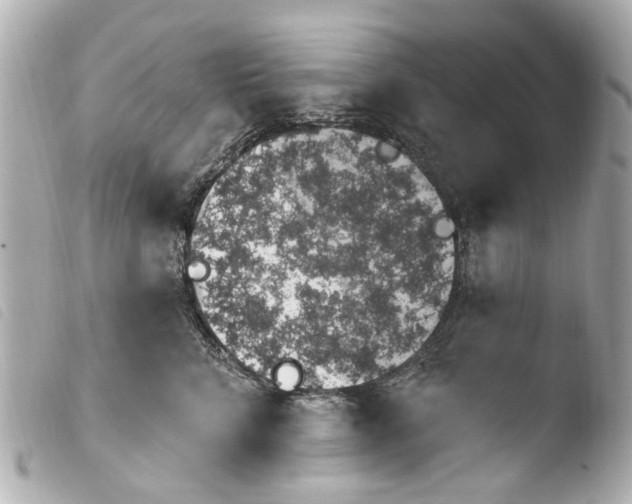 X0000103910712200810031213