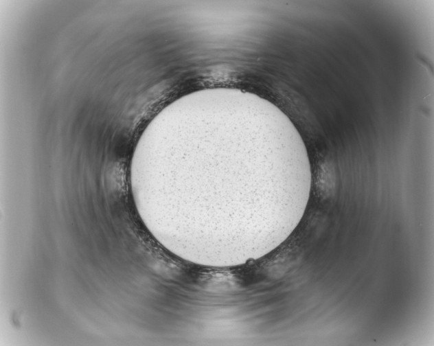 X0000103910715200810031213