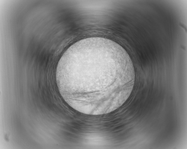 X0000103910717200810031213