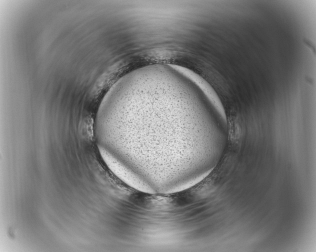 X0000103910718200810031213
