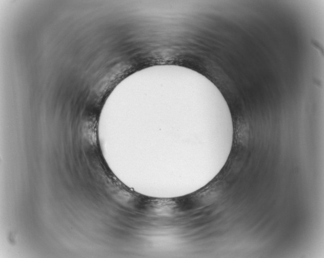 X0000103910719200810031213