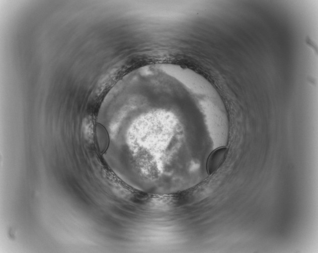 X0000103910720200810031213
