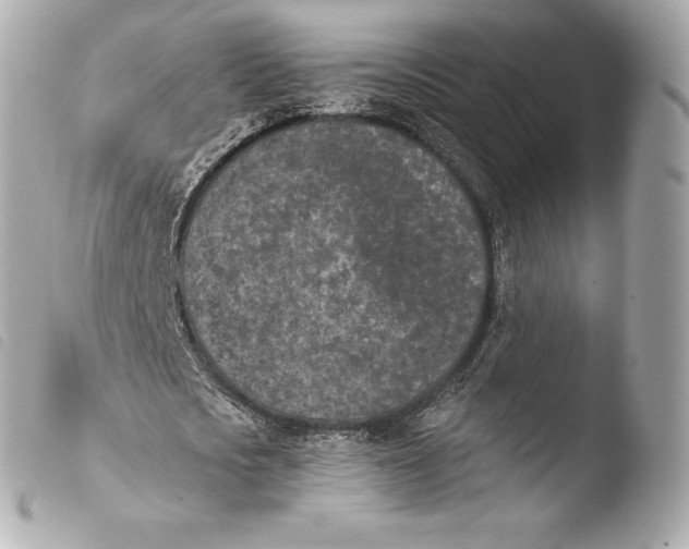 X0000103910721200810031212
