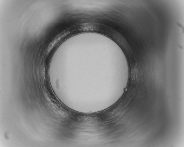 X0000103910722200810031212