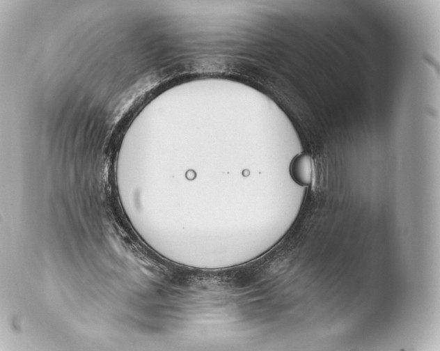 X0000103910723200810031212