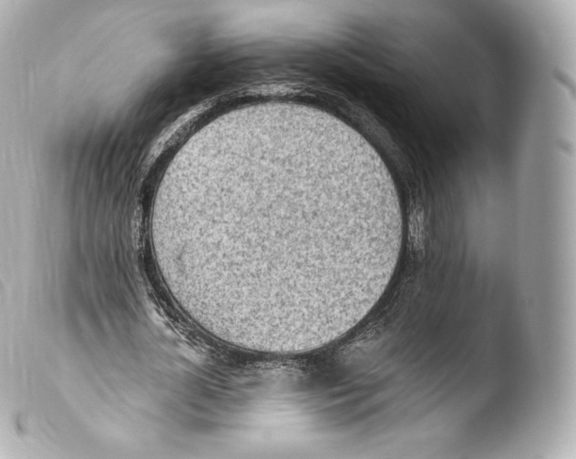 X0000103910724200810031212