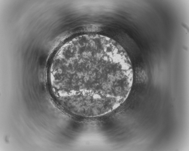 X0000103910726200810031212