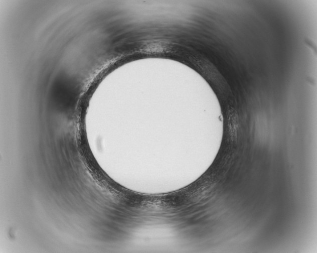 X0000103910728200810031212