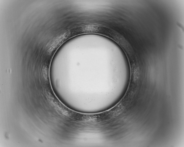 X0000103910729200810031212