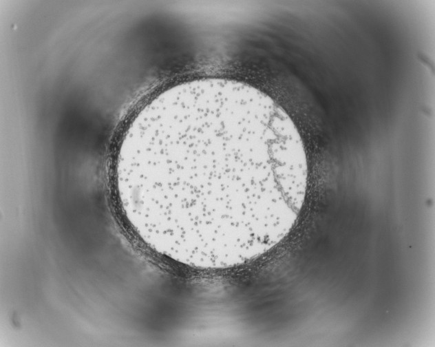 X0000103910730200810031212