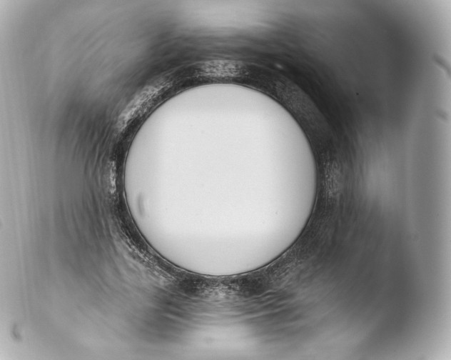 X0000103910731200810031212