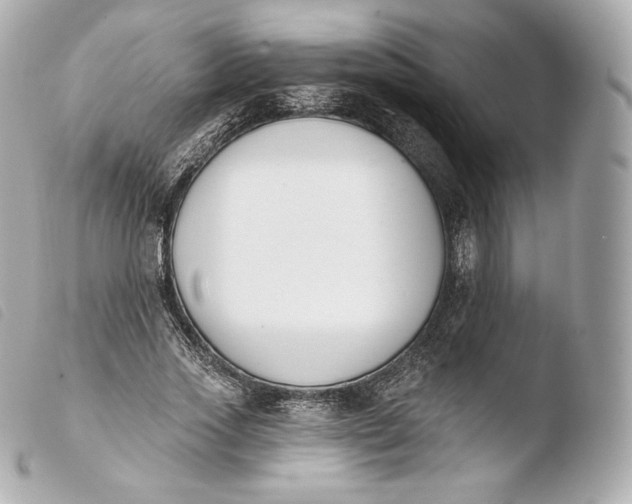 X0000103910733200810031212