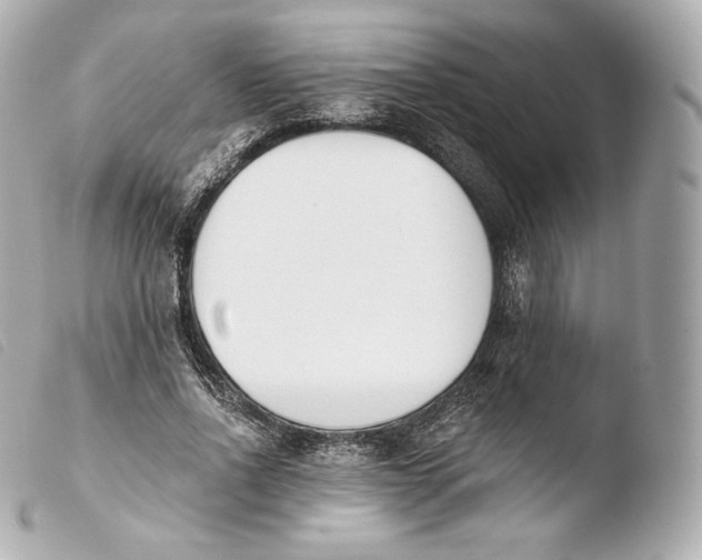 X0000103910734200810031212