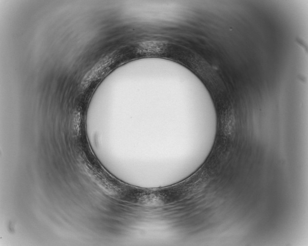 X0000103910735200810031212