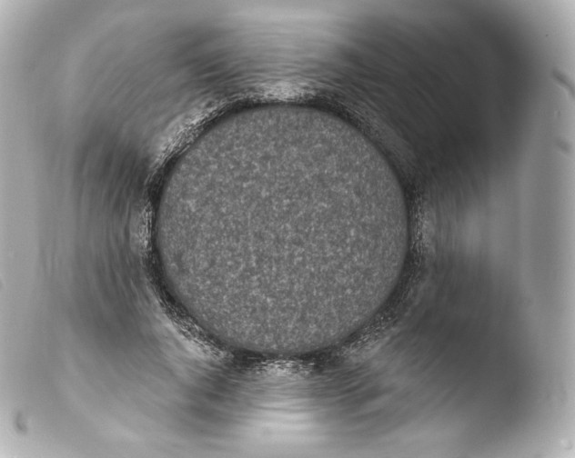 X0000103910736200810031212
