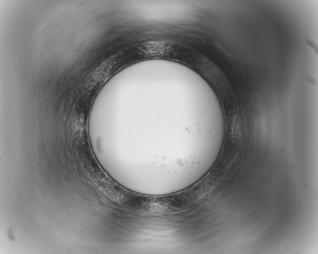 X0000103910737200810031212
