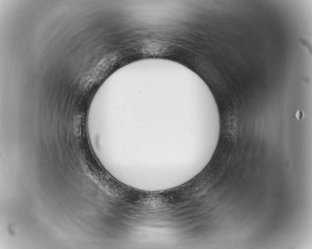 X0000103910738200810031212