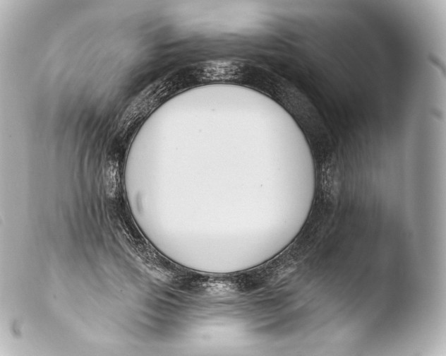 X0000103910741200810031212