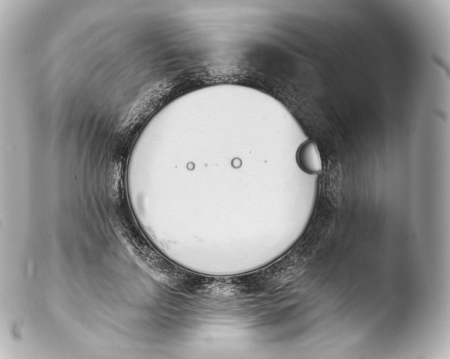 X0000103910742200810031212