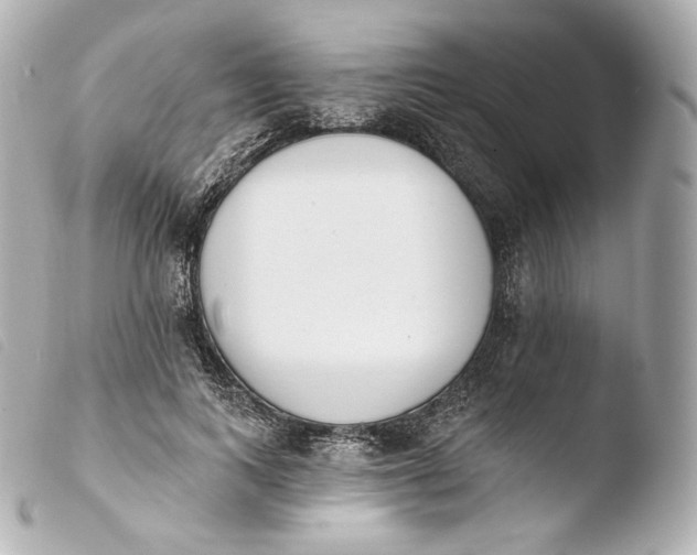 X0000103910743200810031212