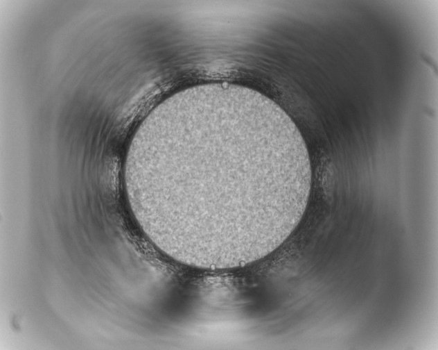 X0000103910744200810031212