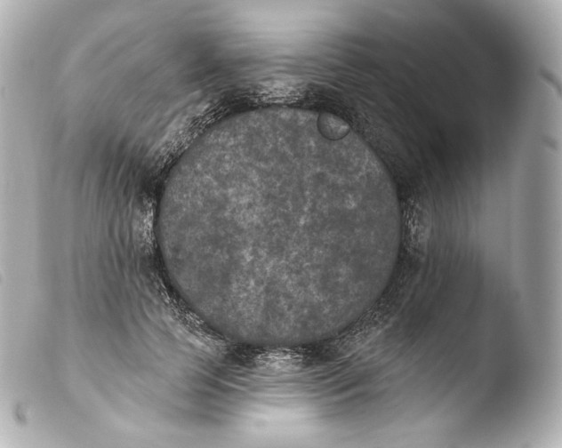 X0000103910745200810031212